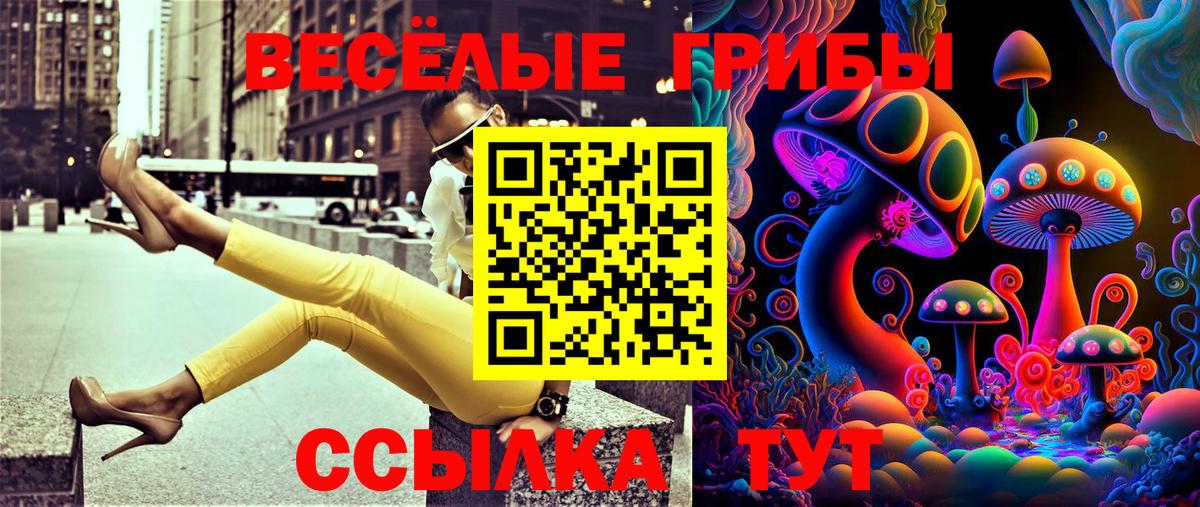 Псилоцибиновые грибы GOLDEN TEACHER Белорецк