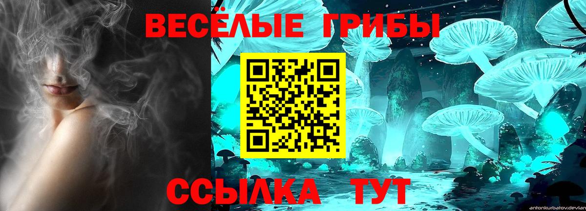 Псилоцибиновые грибы ЛСД  Вход с VPN  Белорецк  наркошоп  Галлюциногенные грибы Psilocybine cubensis 